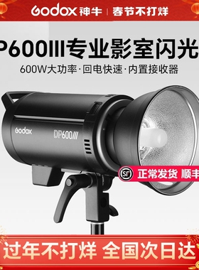 godox神牛DP600III三代/四代影室灯600w摄影闪光灯400w 800w室内人像广告静物拍摄专业影棚摄影灯三灯闪光灯