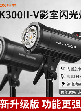 godox神牛SK300II/300IIV摄影灯 影室闪光灯单灯座裸灯 影棚拍摄