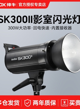 godox神牛SK300II二代摄影灯300w摄影棚补光灯闪光灯柔光灯内置X1