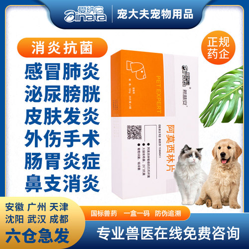 咳嗽猫咪狗感冒药消炎爱纳它鼻支
