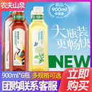 整箱 农夫山泉东方树叶青柑普洱茉莉花茶无糖0糖茶饮料900ml大瓶装