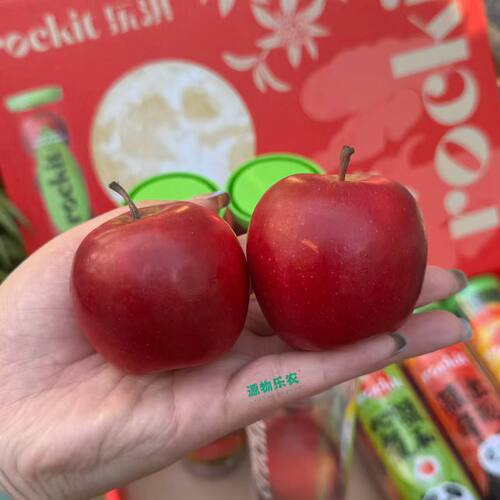 新西兰 rockit 乐琪 火箭筒小苹果 大果 350克*6桶