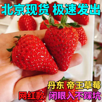 帝王莓丹东草莓香甜可口