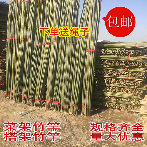 小竹子细竹竿菜园搭架户外篱笆豆角竹竿旗杆2米跳舞长竹竿粗大竹 - 封面