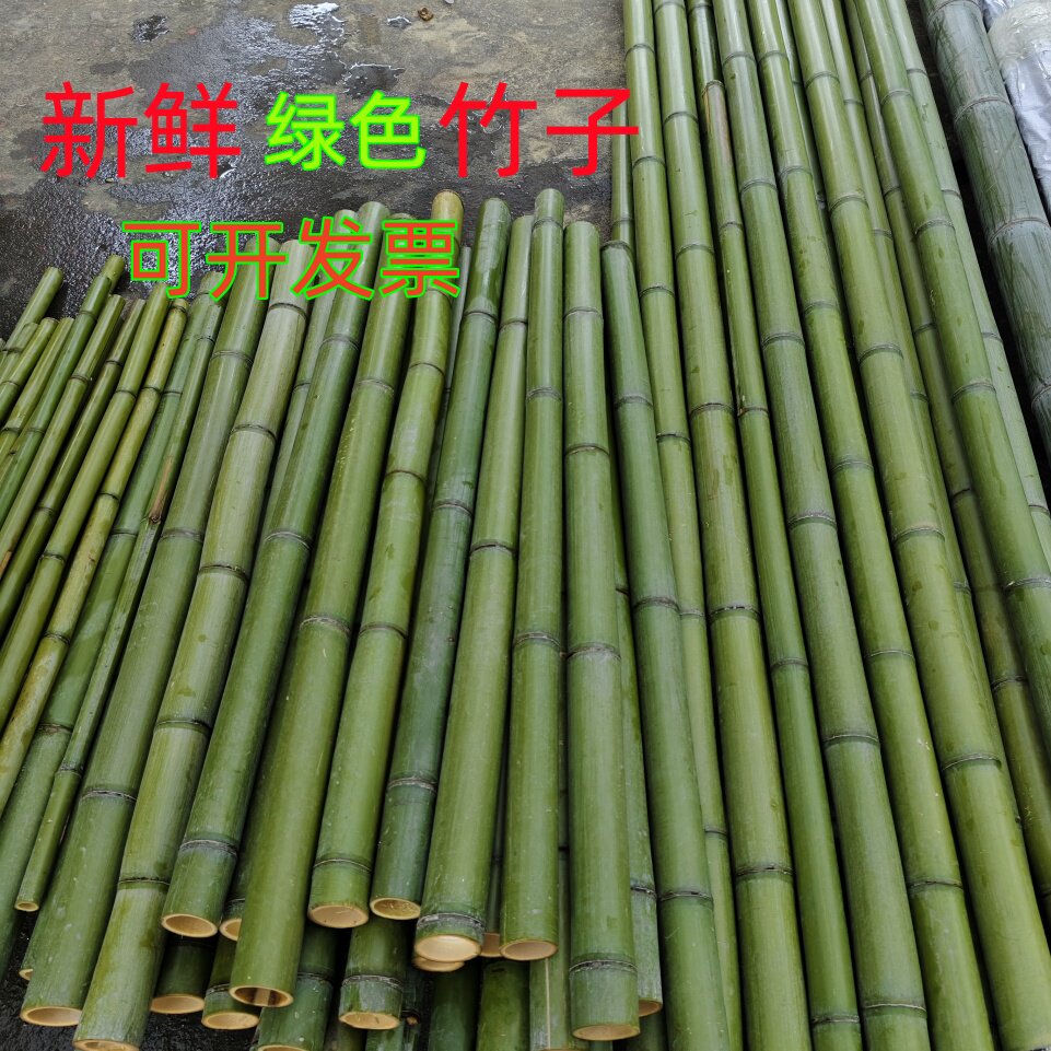 毛竹粗竹竿婚礼用竹子