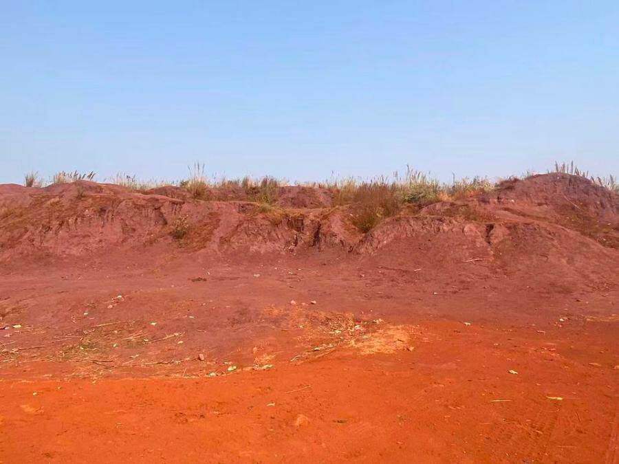 2月11日文山山庄处50%铁矿石网络拍卖公告