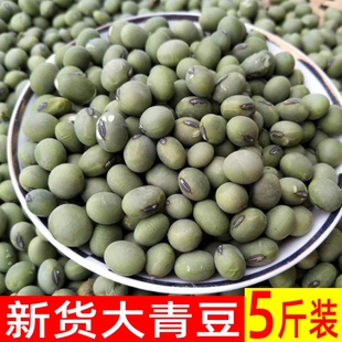 大青豆农家自种老品种青皮青芯生干大青豆粒新货散装5斤杂粮干货