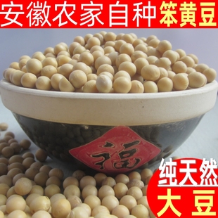 安徽农家自种新鲜黄豆打豆浆豆粉专用散装 5斤家用焖猪蹄配料即食