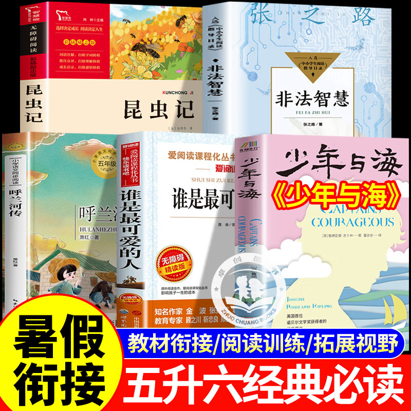 2025五升六年级暑假阅读书目少年与海非法智慧谁是最可爱的人呼兰河传昆虫记 暑假五升六年级课外阅读必读书籍