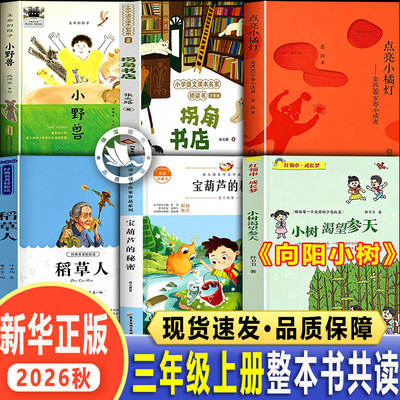 向阳小树整本书共读三年级上册26秋季稻草人宝葫芦的秘密生命的院子小野兽拐角书店点亮小橘灯三年级上册必读的课外书全套官方正版