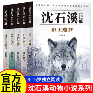 沈石溪动物小说全套5册品藏书系列狼王遗梦狼族女王悲情雪豹兔王绝唱豺王白眉儿一二三四五六年级课外阅读必读书推荐书籍