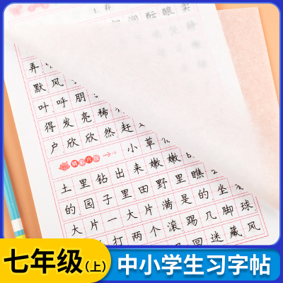 七年级上册语文字帖课本同步人教版RJ练字帖每日一练临摹小升初一硬笔书法练字本初中生7年级控笔训练字帖描红田字格写字