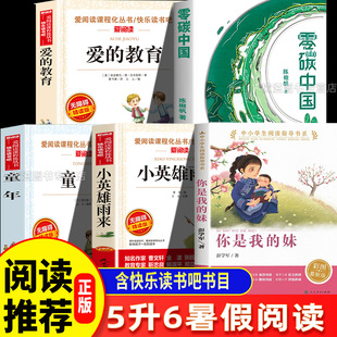 教育開學第一天小英雄雨來烽火少年 2025暑假四季 書香樂讀共讀五升六你是我 妹手足深情愛 綠色使命童年 紅色傳奇零碳中國少年