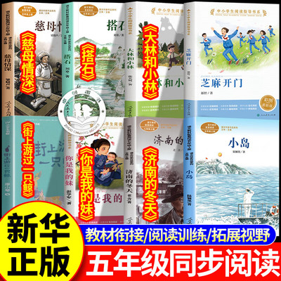 25秋五年级必读课外书你是我的妹芝麻开门慈母情深大林和小林小岛搭石街上游过一只鲸五年级同步阅读书目 【单本】芝麻开门