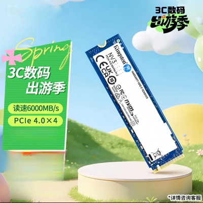 金士顿NV31TBNVMePCIeSSD