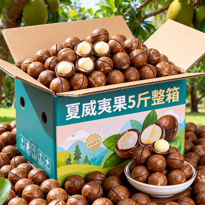 整件5斤大颗粒夏威夷果批发