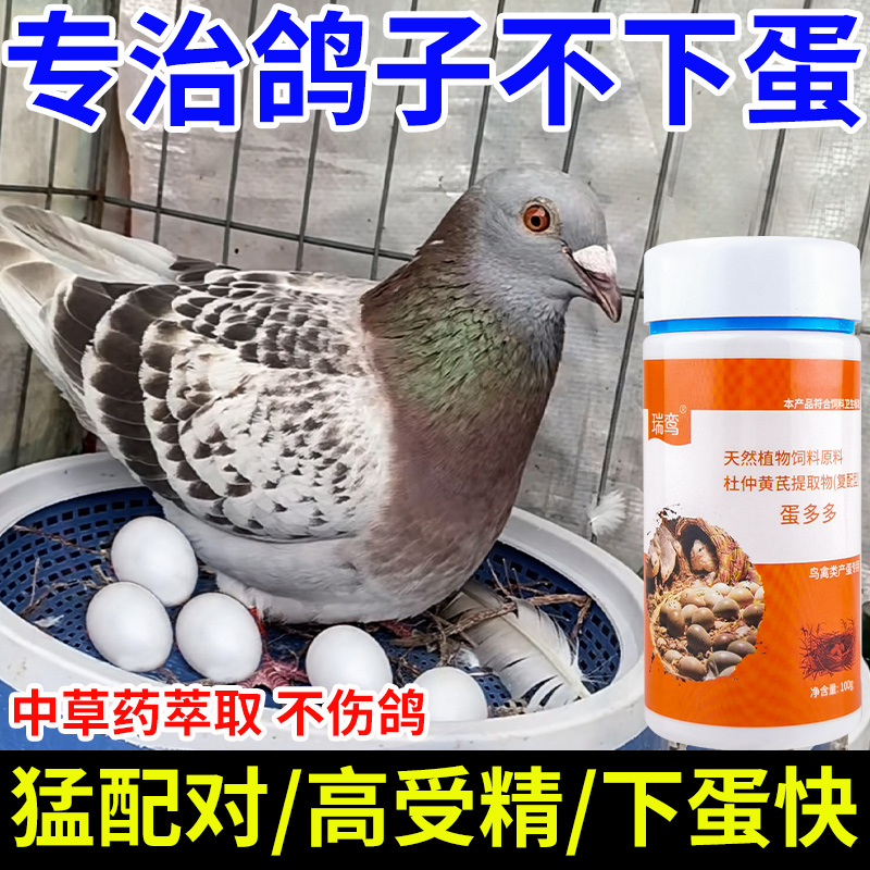 鸽子下蛋饲料催蛋神器促踩背繁殖多不下蛋不受精专用下蛋药增蛋宝