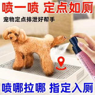 狗狗定点排便神器训练宠物小狗上厕所诱导剂防止狗狗乱拉屎大小便