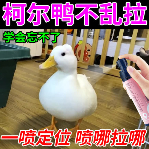 柯尔鸭专用定点排便诱导剂防乱拉