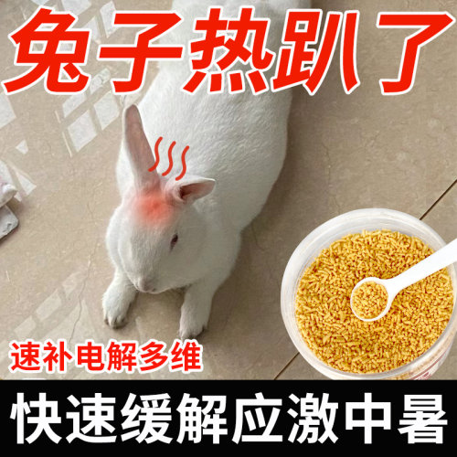 兔子解暑降温抗应激电解质维生素补营养防中暑速补水开胃电解多维