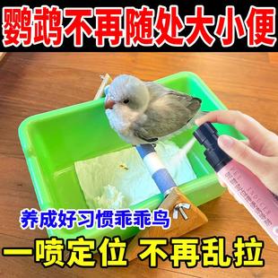 鹦鹉定点排便诱导剂专用不乱拉乱尿鸟类站架垃圾桶上厕所诱便液