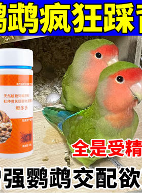 鹦鹉下蛋鸟饲料催蛋加快踩背繁殖