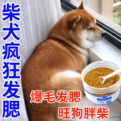 柴犬增肥发腮快速长肉营养补充剂