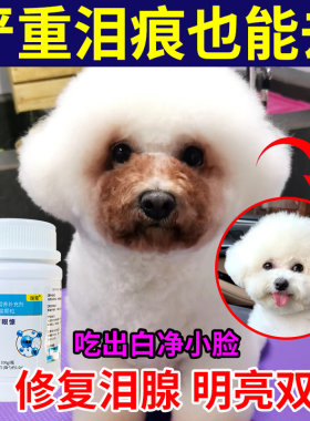 比熊去泪痕神器专用营养补充剂
