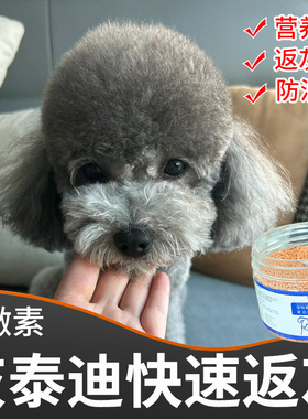 灰泰迪返灰专用营养补充剂灰色泰迪褪色反灰爆毛防脱毛宠物维生素