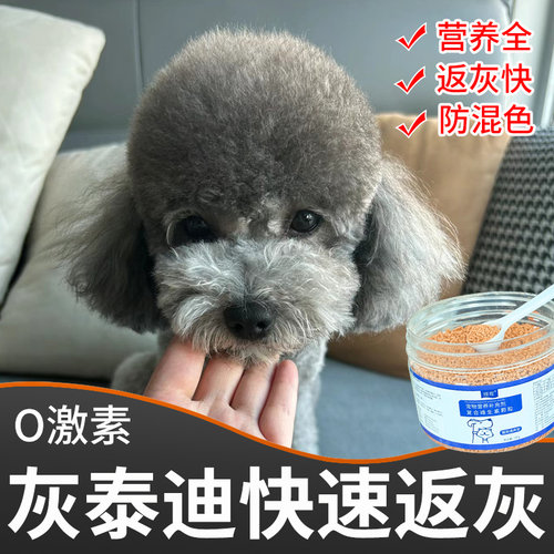 营养补充剂灰泰迪返灰专用防脱毛