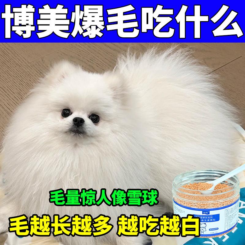 博美爆毛美毛卵磷脂毛发快速生长