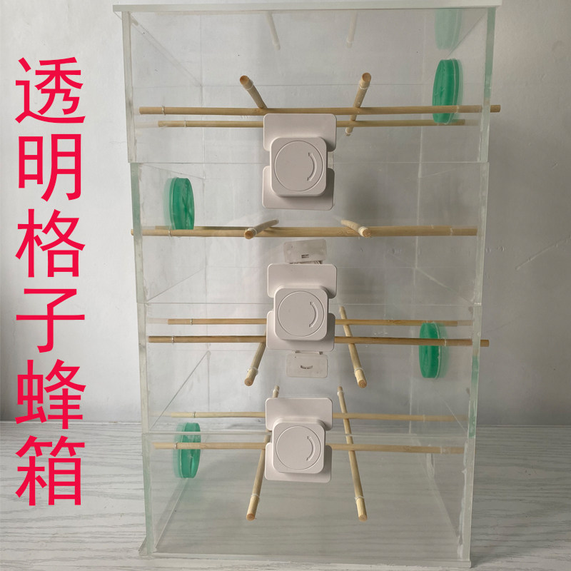 室内家养蜜蜂透明格子多层亚克力玻璃蜂箱全套蜂路管直播展示观看