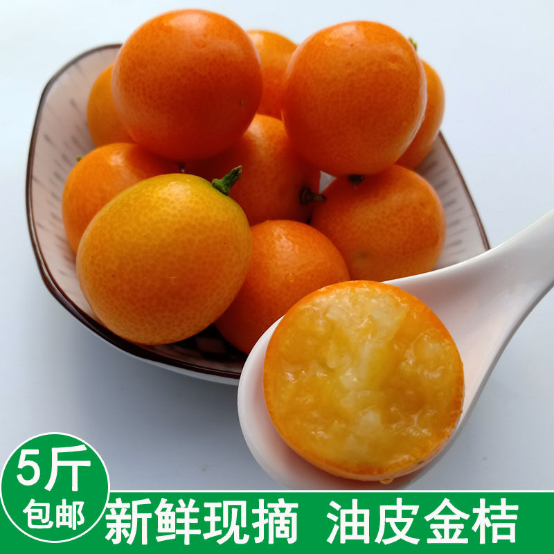 【今年现摘新鲜金桔】老品种麻皮黄皮金钱橘熬膏煮水冰糖雪梨酸甜