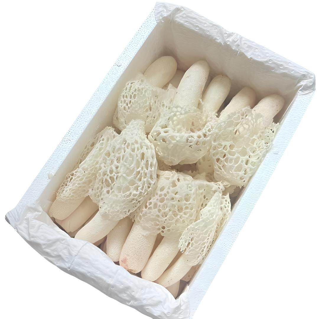 竹荪新鲜特级长裙竹荪蛋野生家乡山珍特产食用菌产品云南干货蔬菜