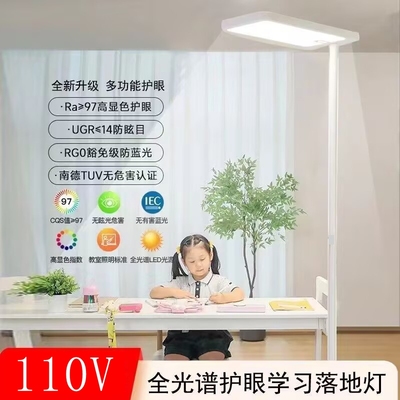 110V电压美国加拿大插电式落地护眼灯儿童学习立式台灯书桌大路灯