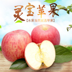 灵宝红富士苹果 灵宝高原苹果