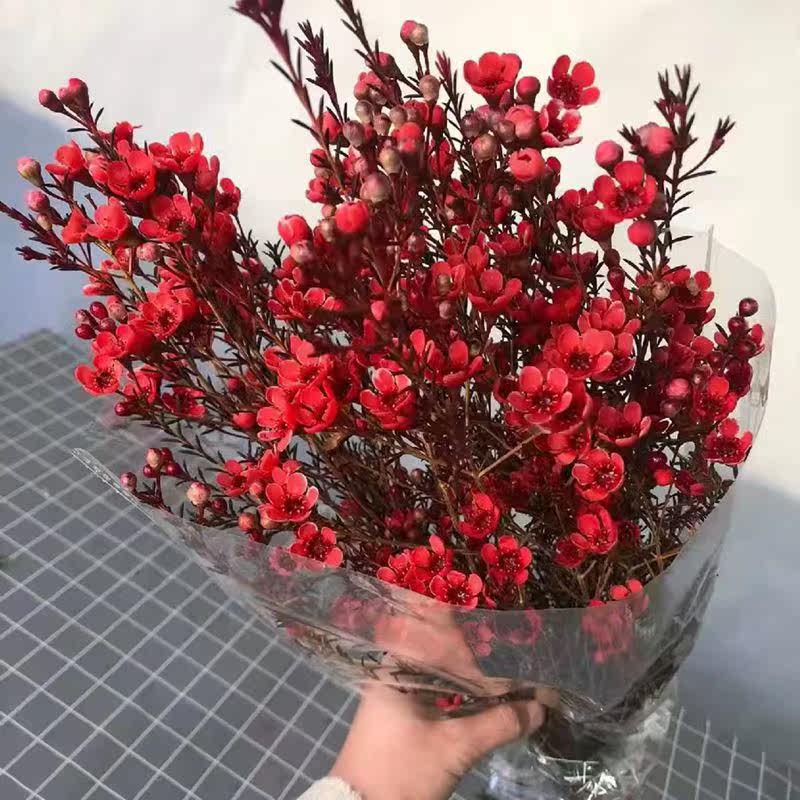 云南昆明基地直发澳洲腊梅吸色鲜花混搭花束婚庆家庭装饰插花束水