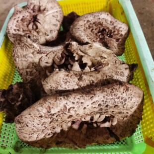 云南香格里拉新鲜黑虎掌菌家庭实惠版2斤240