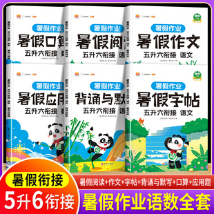 小学五年级下册升六年级上册教材辅导资料同步作文阅读理解口算字帖黄冈应用题 暑假作业五升六衔接5升6全套语文数学专项训练人教版