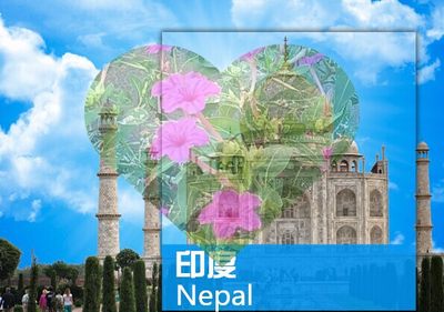 2024年印度德里孟买瓦拉纳西旅游攻略图（电子版）自由行景点旅行