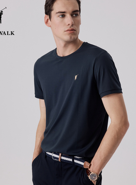 POLOWALK夏季新品男式简约时尚百搭舒适短袖圆V领T恤AM1W42283001