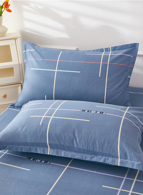 纯棉枕套100全棉单人学生宿舍枕头套48cmx74cm一对装2家用枕芯套