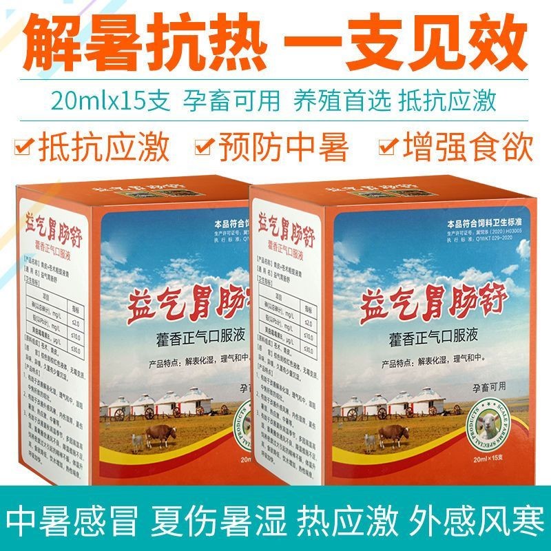 兽用益气胃肠舒藿香正气口服液消食健胃湿热泻痢呕吐肠炎中暑解暑