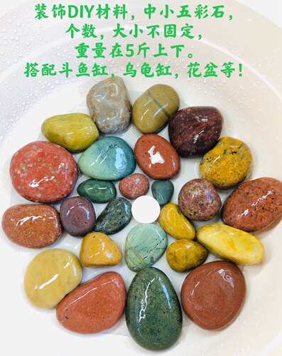 鱼缸造景材料价格 鱼缸造景材料图片 星期三