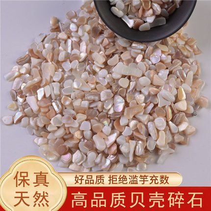天然贝壳碎石小颗粒鱼缸花盆多肉植物造景铺家居装饰品可做水洗石