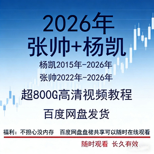 2026年张帅杨凯800G解盘技术视频教程智慧双创机构多空筹码流动