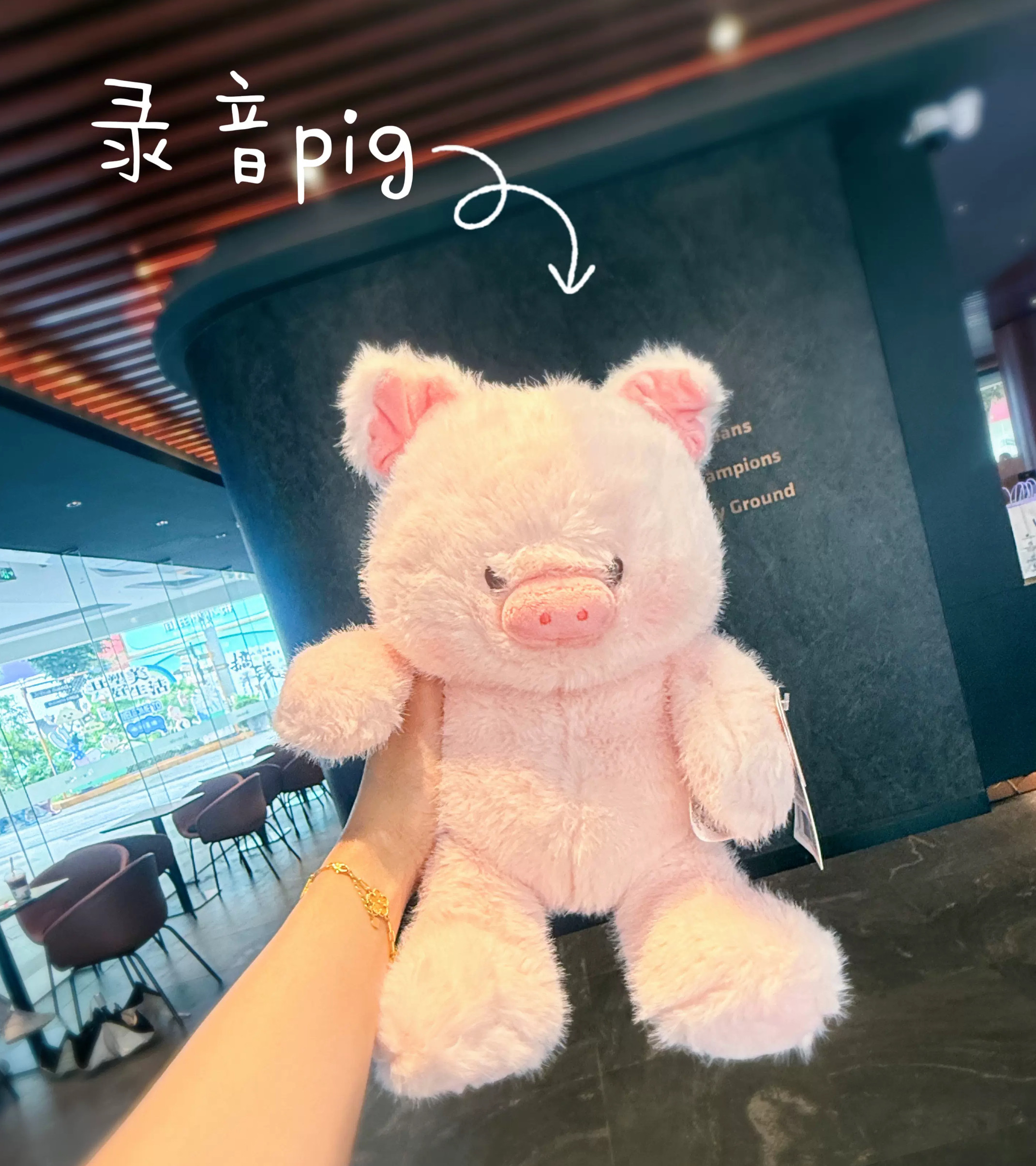 录音款能说话福莉丝猪猪坐姿毛绒公仔玩偶抱枕情侣表白生日礼物