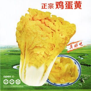 鸡蛋黄白菜种子秋季黄心大白菜籽四季快菜籽好吃抗病高产蔬菜种孑
