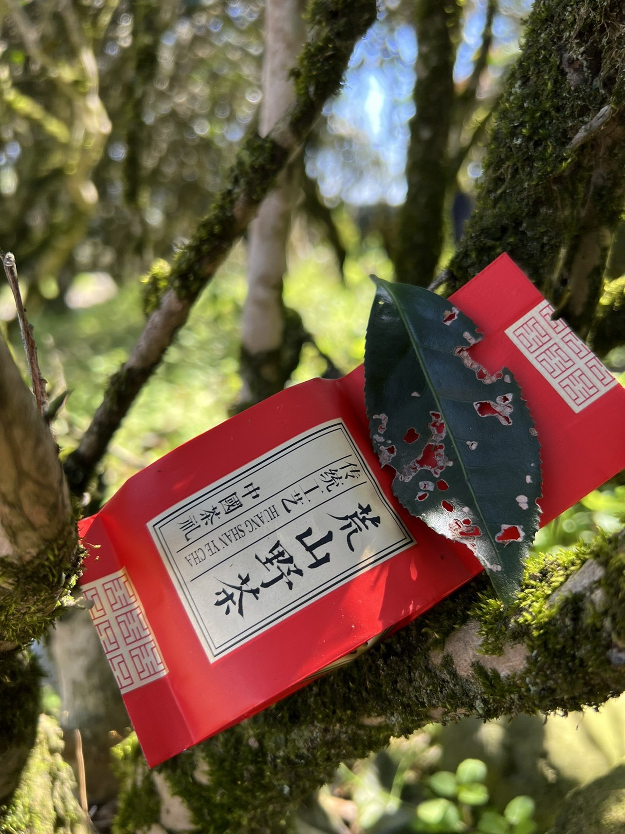 高山茶荒山野茶武夷岩茶大红袍中火碳焙清香花香礼盒泡袋品鉴试喝