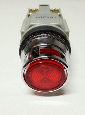 IDEC原装和泉30mm带灯自复位按钮开关ALFN22211DNG老款停产库存